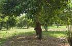 6 ac Land at Mtwapa - 12