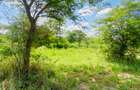 19 ac Land at Kenol-Makutano Highway - 14