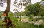 3 Bed House with En Suite in Muthaiga - 11
