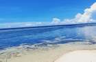 Residential Land in Diani - 3
