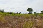 Land at Vipingo - 17