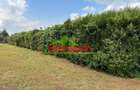 0.4 ha Land at Tilisi - 12