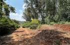 Land in Karen - 1