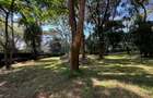 1 ac Land in Karen - 8