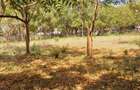 Land in Nyali Area - 1