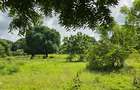 20 ac Land at Mtwapa - 15