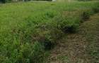 0.215 ac Residential Land at Chuna - 1