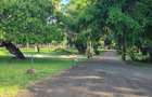 3.7 ac Land at Serena - 17