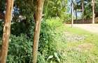 Land at Mtwapa - 13