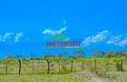 0.05 ha Residential Land at Naromoru - 4