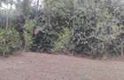 0.5 ac Land at Ololua - 11