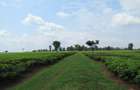 Land at Kiambu Rd - 8