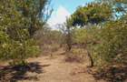 Land at Near Munarani - 2