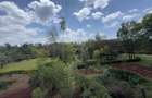 3.75 ac Land in Karen - 11