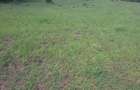 2 ac Land in Ongata Rongai - 2
