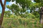 7 ac Land at Kikambala - 4