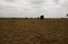 Land at Umma University - 13