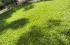 4 Bed Townhouse with En Suite in Kilimani - 4