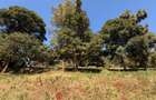 6.39 ac Residential Land in Tigoni - 9