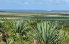 4,046.86 m² Land in Vipingo - 5