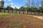5 Bed Townhouse with En Suite in Karen - 5
