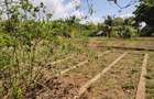 1,000 m² Residential Land at Mvindeni - 1