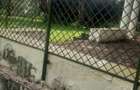 5 ac Land at Kabarnet Gardens - 6