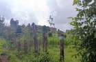 Land in Ruaka - 4
