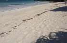 Land at Diani - 8