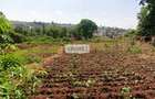 Residential Land in Thome - 2