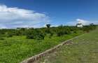 Land in Vipingo - 7
