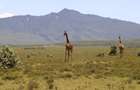1 ac Residential Land at Naivasha - 12