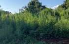 4 ac Land at Riara Ridge - 1