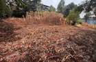 0.25 ac Land in Nyeri - 3