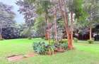 4.1 ac Land in Rosslyn - 15
