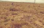 1 ac Land at Konza North - 2