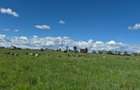 Land in Joska - 2