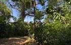 10.95 ac Land at Shanzu Beach - Overlooking Mtwapa Creek - 5