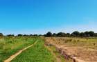 Land at Vipingo - 11
