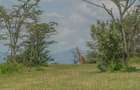 10 ac Land at Kisuri Hills - 11
