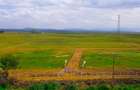 Residential Land in Naivasha - 4