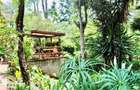 4 Bed House with En Suite in Thigiri - 7