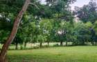 73.6 ac Land at Vipingo Kuruwitu Beach - 8