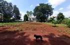 Residential Land at Kirawa Road - 8