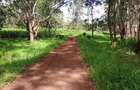 Residential Land at Juja-Gatundu Road - 9