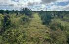 4,046.86 m² Land in Vipingo - 7