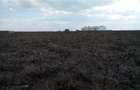 0.25 ac Land at Katani - 12