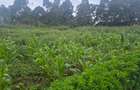 1 ac Land at Gicharani - 7