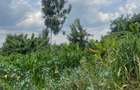 Residential Land at Kerarapon Road - 3