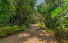 4 Bed Townhouse with En Suite in Kitisuru - 14